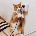 [sticker](media:AAQFABNqacoyAAT1CMKGvfhsFBQwAAIC@telegram)