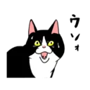 [sticker](media:AAQFABNr79oyAAQRyeJOKQbJTC1YAAIC@telegram)