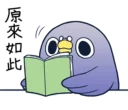 [sticker](media:AAQFABNsa78yAASbd47T4BUtWw4FAAIC@telegram)