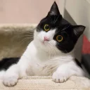 [sticker](media:AAQFABO1ocoyAASLtjl7ehWzHSQfAAIC@telegram)