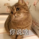 [sticker](media:AAQFABO4kcsyAAROVRocoo86jZJGAAIC@telegram)