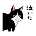 [sticker](media:AAQFABO5GNsyAAS8VW1nlbvNnVlZAAIC@telegram)