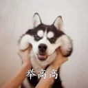 [sticker](media:AAQFABO7s8syAAQV0NYOvZt14HIHAAIC@telegram)