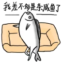 [sticker](media:AAQFABO9DsEyAARfW6aHsI1BkBIhAAIC@telegram)