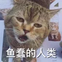 [sticker](media:AAQFABOBm8oyAASE8w7E3kwGwWFAAAIC@telegram)