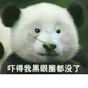 [sticker](media:AAQFABOFl9AyAATocAyq8kQrE1YZAAIC@telegram)