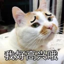 [sticker](media:AAQFABOGd9AyAASkRpZ49QR0yT8vAAIC@telegram)