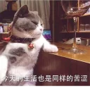 [sticker](media:AAQFABOHtNAyAARWRnLltGEq4jgqAAIC@telegram)