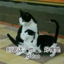 [sticker](media:AAQFABOO3NQyAATV24k7WQbDdzc0AAIC@telegram)