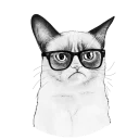 [sticker](media:AAQFABOOT9AyAAQ3pclnB1HcfewdAAIC@telegram)