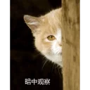 [sticker](media:AAQFABOP5csyAAQ9Z2LSA-l4fRFEAAIC@telegram)