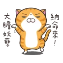 [sticker](media:AAQFABORyb8yAAThoT2ned79WLUBAAIC@telegram)