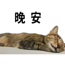 [sticker](media:AAQFABOTWtYyAASs_J4wmF3KY-YKAAIC@telegram)