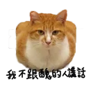 [sticker](media:AAQFABOUutQyAATQJhjf1chMHv00AAIC@telegram)