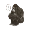 [sticker](media:AAQFABOUxMsyAAReI-phJntsJsUTAAIC@telegram)