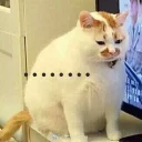 [sticker](media:AAQFABOVQN4yAATzGfe3RwjVJRpIAAIC@telegram)