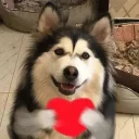 [sticker](media:AAQFABOcjMoyAARK41PRC7zShmUYAAIC@telegram)