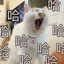 [sticker](media:AAQFABOcx8syAASNMwZ-dKJy4LY9AAIC@telegram)