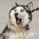 [sticker](media:AAQFABOglMoyAAQZdwtIfm58oZ4FAAIC@telegram)