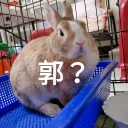 [sticker](media:AAQFABOh0csyAASojuMeAAF_nb-XLAACAg@telegram)