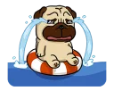 [sticker](media:AAQFABOiaMoyAASfdnyoSkR6OEMwAAIC@telegram)