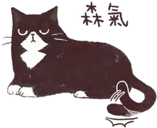 [sticker](media:AAQFABOjk_YyAATPZvJgiB-0nY5mAAIC@telegram)