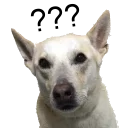 [sticker](media:AAQFABOmnMoyAASunL7ziG-8ztBEAAIC@telegram)