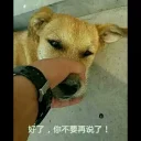 [sticker](media:AAQFABOnL8oyAAR66AAB25vxvjCDbgACAg@telegram)