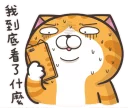 [sticker](media:AAQFABOo5b8yAAThMgGGMWOvVBoZAAIC@telegram)