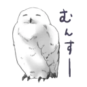 [sticker](media:AAQFABP2bb8yAASS-ct6VgiXzAABGAACAg@telegram)