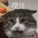 [sticker](media:AAQFABPGFNUyAAS0JKLPhBOp1oA0AAIC@telegram)