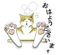 [sticker](media:AAQFABPHMsoyAATpwU7nVqxX1CY8AgABAg@telegram)