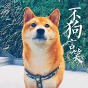 [sticker](media:AAQFABPLULMyAARx7DIDGv96MWAEAAIC@telegram)