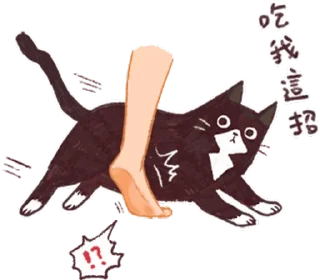 [sticker](media:AAQFABPLh_YyAAS7WmaQ7IoSsnZaAAIC@telegram)
