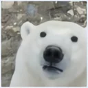 [sticker](media:AAQFABPNgdYyAASAFGNe-la-bzwJAAIC@telegram)