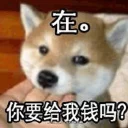 [sticker](media:AAQFABPPWcoyAAQtUjznEEMDPWwOAAIC@telegram)