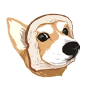 [sticker](media:AAQFABPPY7MyAAQfoJyWJ-XEP1AfAAIC@telegram)