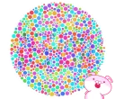 [sticker](media:AAQFABPQ5doyAARa5wABF8vTrzfLXAACAg@telegram)