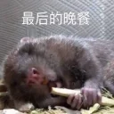 [sticker](media:AAQFABPQ89oyAASzSmZ2QBVchwFzAAIC@telegram)