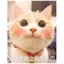 [sticker](media:AAQFABPU4NQyAAR4xdzcpo8HD_I_AAIC@telegram)