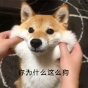 [sticker](media:AAQFABPW5csyAASC94GR77SpZWkYAAIC@telegram)