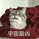 [sticker](media:AAQFABPZLsoyAATrlG1ibF-apZUyAAIC@telegram)