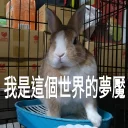 [sticker](media:AAQFABPZstAyAAT_yicGPAfl0VQfAAIC@telegram)