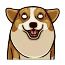 [sticker](media:AAQFABPaitMyAAT4g5VS-HmP9l0tAAIC@telegram)