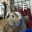 [sticker](media:AAQFABPbrtAyAAT6aPz9nkyxtR0hAAIC@telegram)