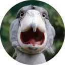 [sticker](media:AAQFABPeK94yAAQ41k4B2Q09Yg0fAAIC@telegram)