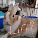 [sticker](media:AAQFABPoNcoyAAT-VTi0oWfoeGtiAgABAg@telegram)