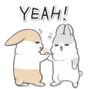 [sticker](media:AAQFABPoqMsyAATEtjfYG5lIuZM0AAIC@telegram)