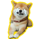 [sticker](media:AAQFABPpacoyAAR9dvr8yN5VY2gvAAIC@telegram)