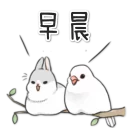 [sticker](media:AAQFABSdyjIABEX_SwaR7AWAODQAAgI@telegram)